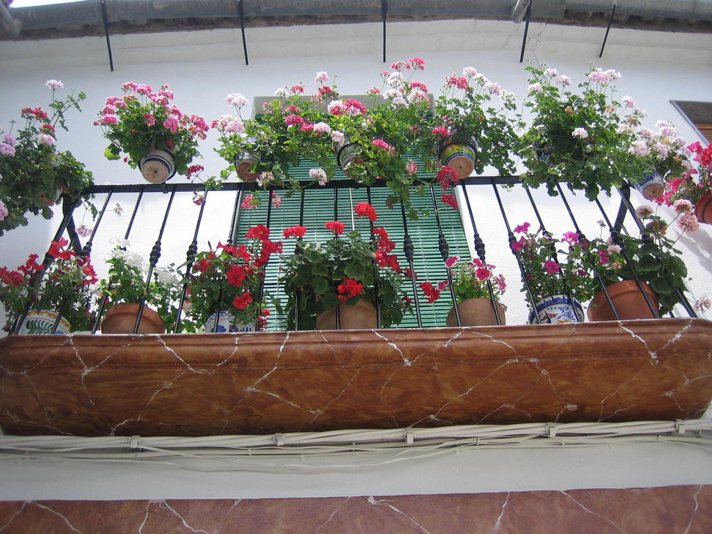 Casa Rural La Villa Castro del Río 객실 사진